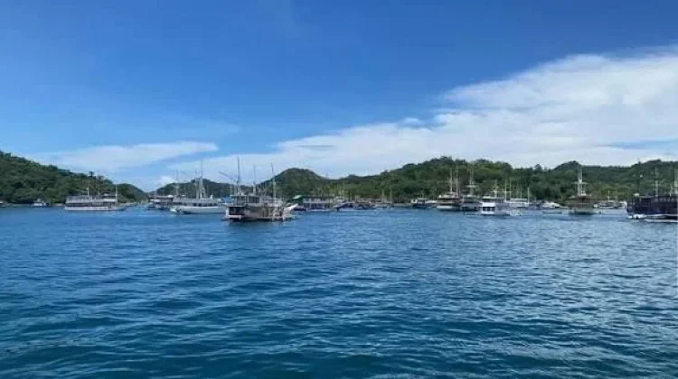 Pemkab Manggarai Barat Wajibkan Kapal Wisata Lunasi Pajak Daerah