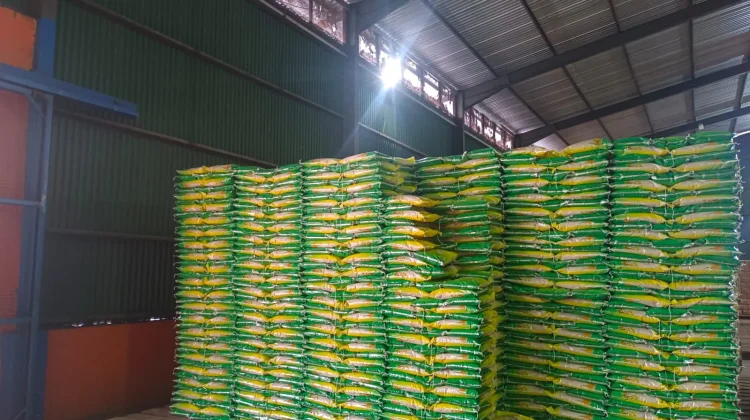 Bulog Ende Pastikan Stok Beras Aman hingga Beberapa Bulan