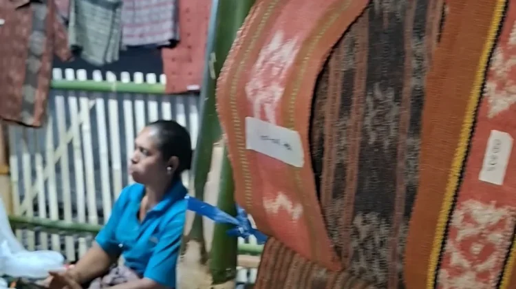 Penenun Solor Kenalkan Tenun Pewarna Alami Kaktus