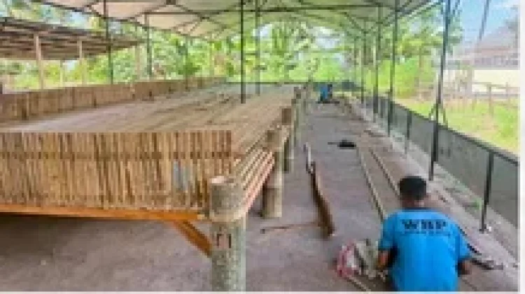 Dukung Program Ketahanan Pangan, Lapas Ende Bangun Kandang Ayam