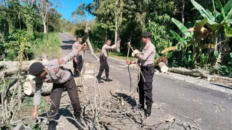 Sat Samapta Polres Ngada Bersihkan Pohon Tumbang saat Patroli