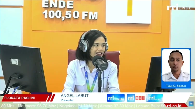 BMKG Ingatkan Gelombang Sedang Ancam Sejumlah Perairan NTT