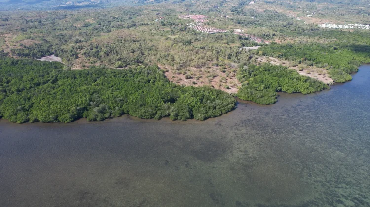 Konservasi Laut Berbasis Budaya "Muro" terus Diperkuat