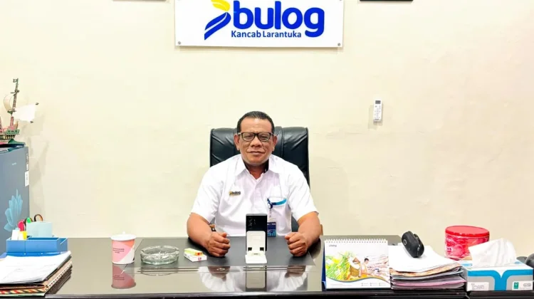 Bulog Perkuat Penyerapan Jagung, Petani Flores Timur Dapat Kepastian Harga