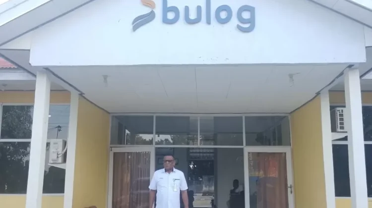 Bulog Flores Timur Terapkan Standar Ketat Jaga Mutu 178 Ton Jagung