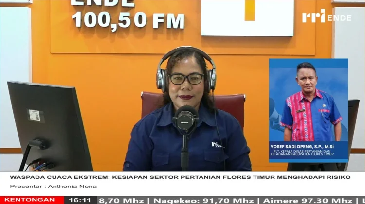 Distan Flores Timur Perkuat Antisipasi Dampak Cuaca terhadap Pertanian