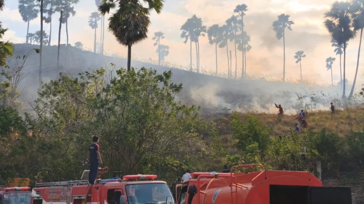 Kebakaran Lahan Hanguskan hingga 100 Hektare di Perbukitan Labuan Bajo