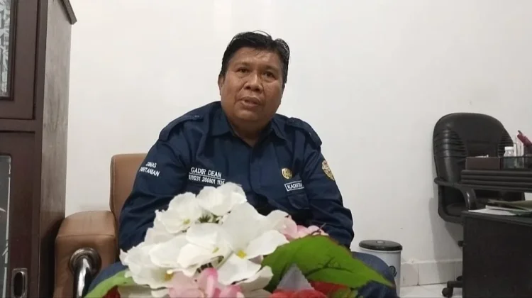 Luas Tanam dan Panen Padi Ende Menurun akibat Hama Tikus
