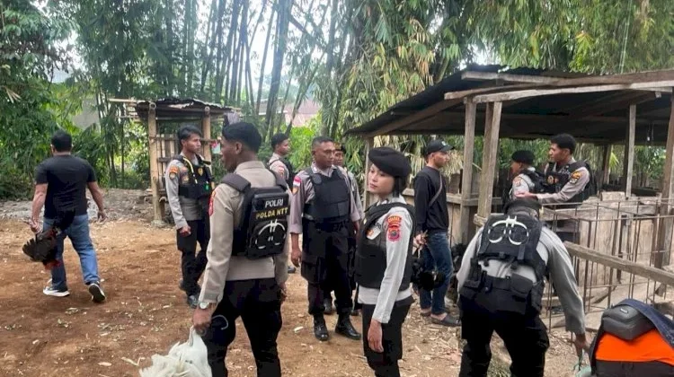 Polres Manggarai Polda NTT Grebek Lokasi Sabung Ayam Di Kelurahan Rowang