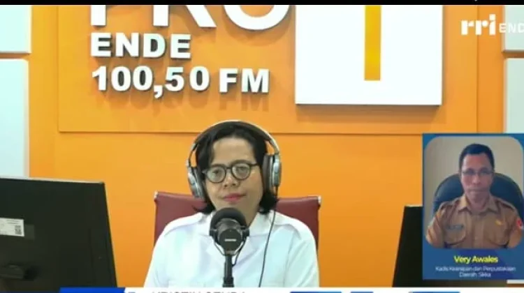Minat Baca Masyarakat Sikka Meningkat Berkat Berbagai Inovasi Literasi