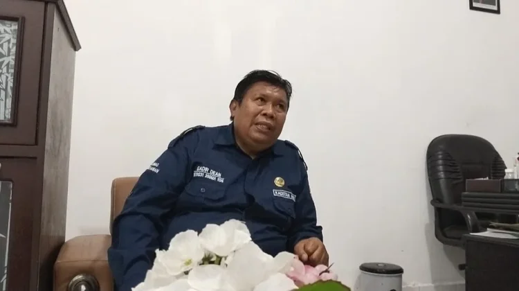 Luas Tanam Padi Ende Turun akibat Serangan Hama Tikus