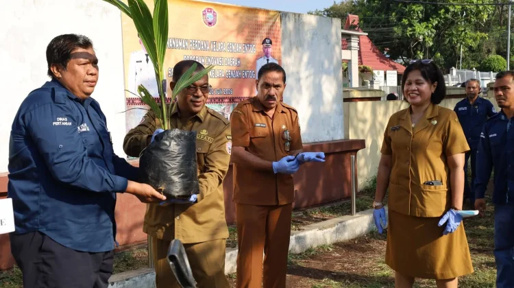 Bupati Ende Luncurkan Program Satu Juta Pohon Kelapa Genjah Entok