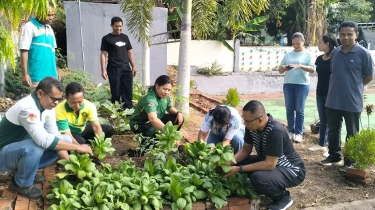 Panen Perdana Pakcoy Warnai Implementasi Asta Protas Kemenag Flores Timur