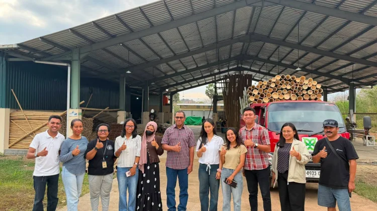 15 Ribu Batang Bambu dari Labuan Bajo Diekspor ke Polandia