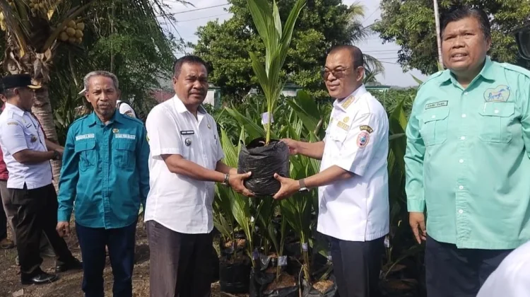 Program Sejuta Kelapa Genjah Entok Dorong Tingkatkan Kesejahteraan Masyarakat