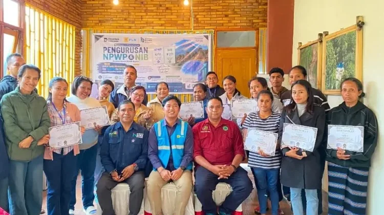 Sinergi Lintas Sektor Bantu Pelaku UMKM Miliki NPWP dan NIB di Kabupaten Ngada
