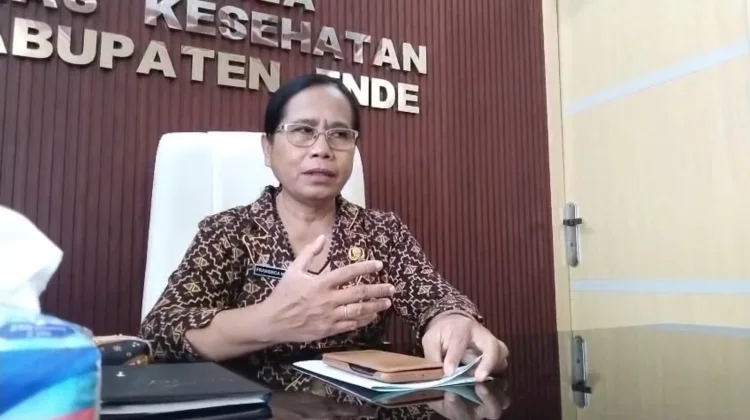 Mayoritas Kasus HIV Kabupaten Ende Ditemukan lewat Skrining Aktif