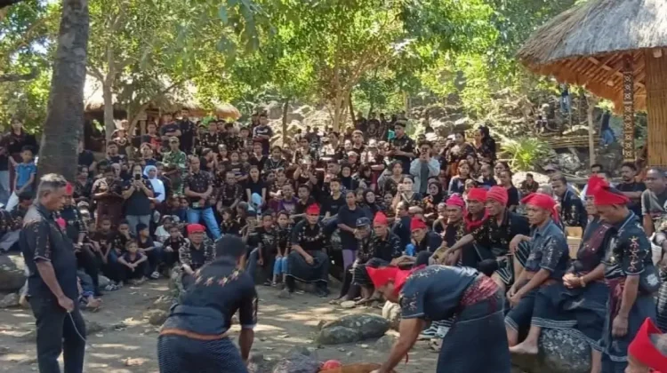 Festival Koke Bale Lewokluwok Angkat Tradisi Adat di Demon Pagong