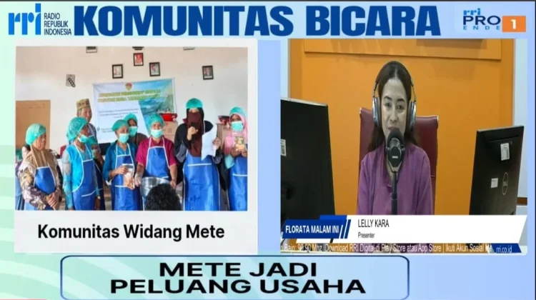 Komunitas Widang Mete Buktikan Mete Bisa Jadi Peluang Usaha Menjanjikan