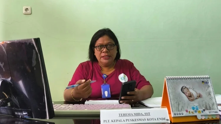 Kasus ISPA di Puskesmas Kota Ende Naik, Capai 292 Kasus pada April