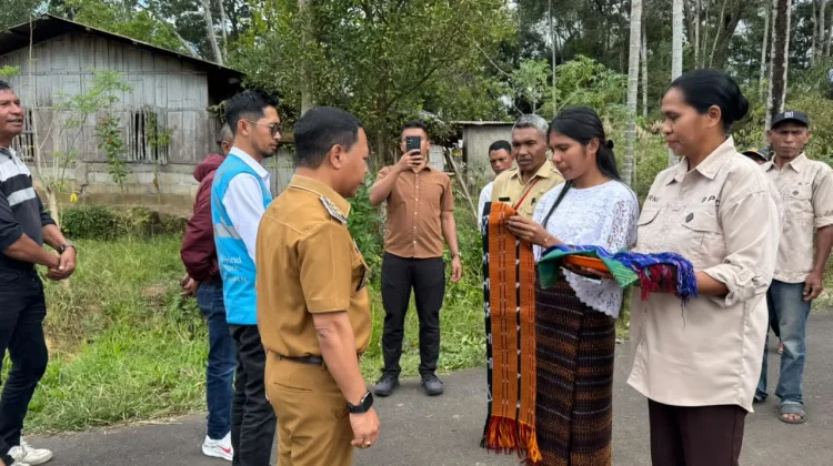 Listrik Perdana Terangi Desa Waepana Satu Ngada