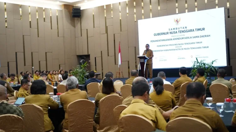 Pemprov NTT Perkuat Kolaborasi Optimalisasi Pajak Bersama Pemda/Pemkot