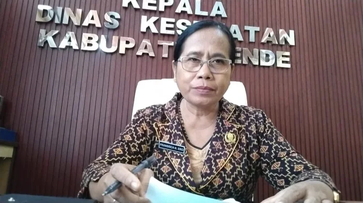 Enam Puskesmas di Ende Masih Kekurangan Dokter
