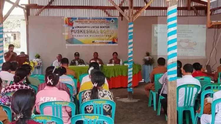 Puskesmas Boru Perkuat Sinergi Lintas Sektor Tingkatkan Layanan Kesehatan
