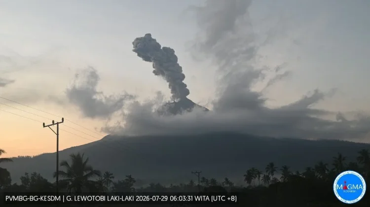 Gunung Lewotobi Laki-laki Erupsi, Kolom Abu Mencapai 1.200 Meter