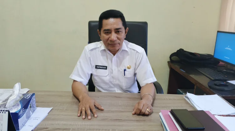 Dinas PRKPP Bangun 60 Unit LPJU, 38 Unit di Langke Rembong, 22 Unit di 11 Kecamatan Lain