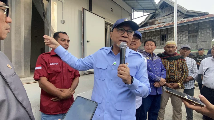 Menko Pangan Pastikan Stok Pangan Nasional Aman, Masyarakat Diminta Tak Khawatir