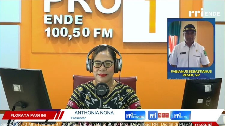 Ngada Siapkan 1.235 Hektare Program Cetak Sawah Rakyat Nasional