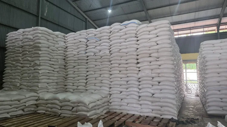 Stok Beras Bulog Sikka Aman hingga Tiga Bulan Mendatang