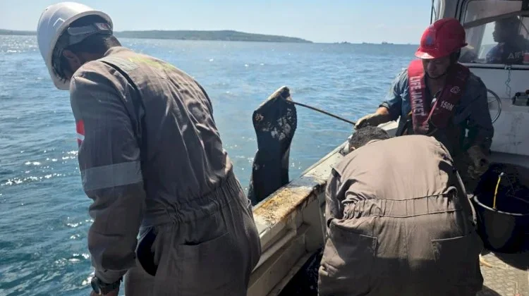 Dirpolairud Polda NTT Kawal Penanganan Tumpahan Minyak di Perairan Semau