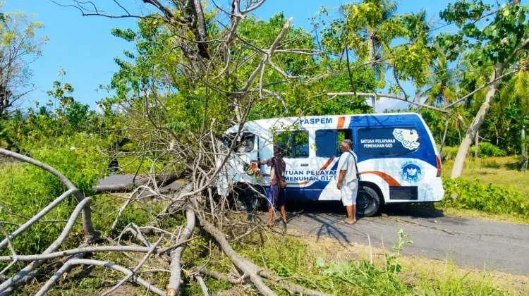 Pohon Reo Tumbang Timpa Kendaraan, Pelajar Alami Luka Berat