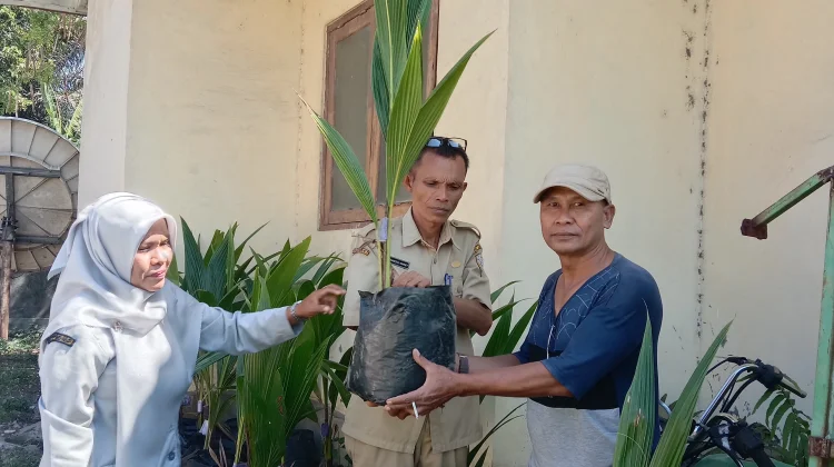 Bibit Kelapa Genjah Dorong Kemandirian Petani Kelurahan Paupire