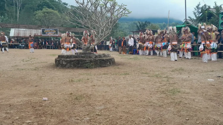 Caci Penti Pererat Persaudaraan Antar gendang di Manggarai Timur