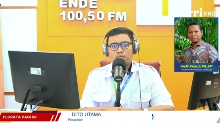 Produksi Rumput Laut Lembata Tumbuh, Ekonomi Pesisir Kian Menjanjikan