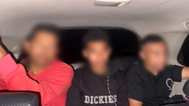 Viral Video Pembakaran Burung Hantu, Polisi Amankan Tiga Pria di Manggarai Barat