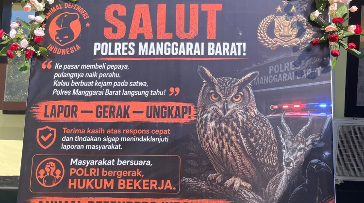 Polres Mabar Dapat Apresiasi atas Respons Cepat Ungkap Kasus Kekerasan Satwa