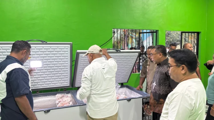 Pemkab Lembata Siapkan Sistem Pakan untuk Perkuat Peternakan Lokal