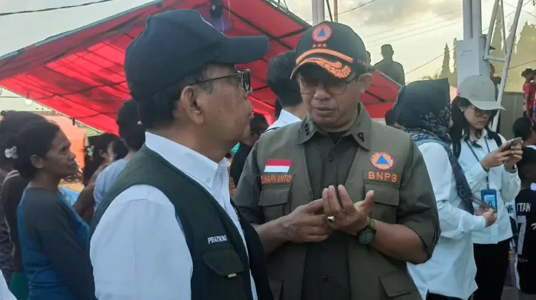 Gempa Flores, 100 Orang meninggal Dunia dan Ratusan Ribu Mengungsi