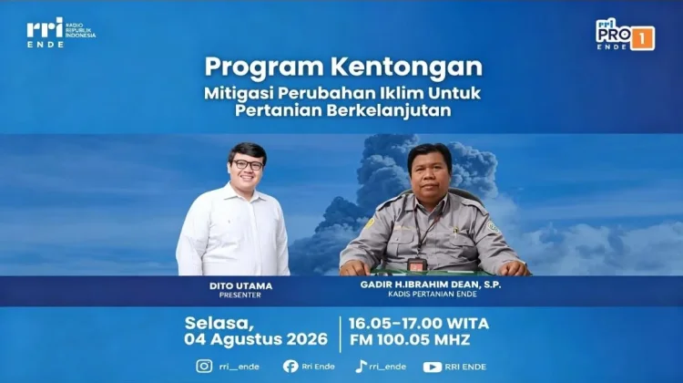 Dinas Pertanian Ende Perkuat Mitigasi Perubahan Iklim