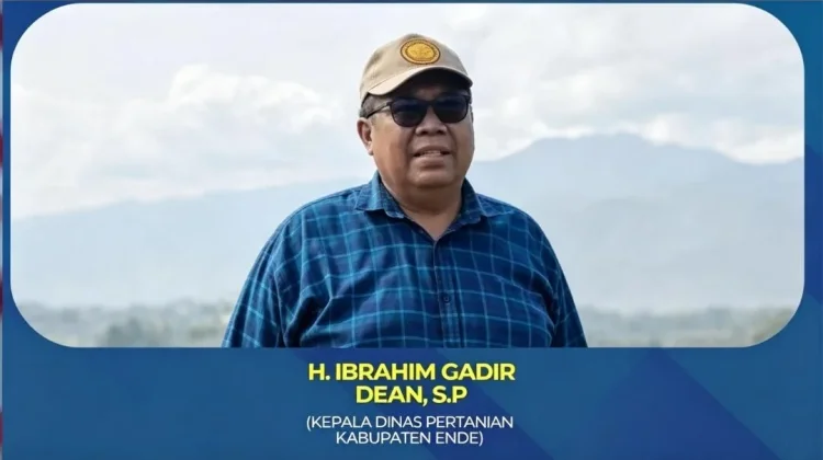 Perubahan Iklim Ancam Produksi Pangan Ende