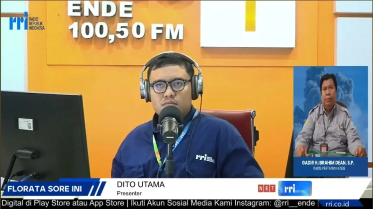 Dinas Pertanian Ende Perkuat Kolaborasi Petani Hadapi Iklim