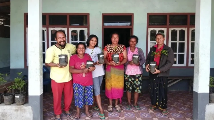 Petani Bomanu Uji Jeruk Wogan Asal Australia