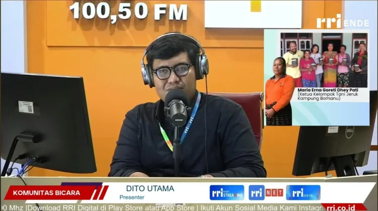 Program MBG Dongkrak Harga Jeruk Nipis Ngada