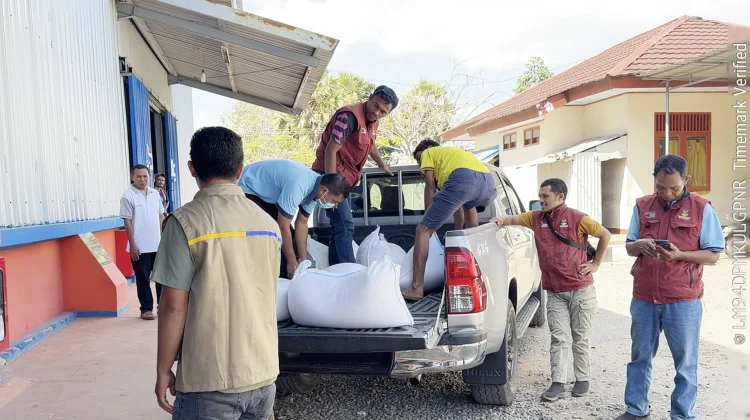 BULOG NTT Salurkan 862 Ton Beras untuk Warga Terdampak Gempa Flores