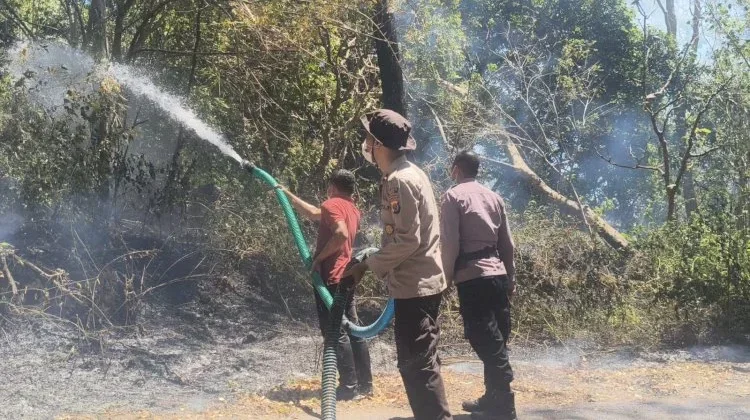 Karhutla Hanguskan 50 Hektare Hutan Egon Ilinmedo