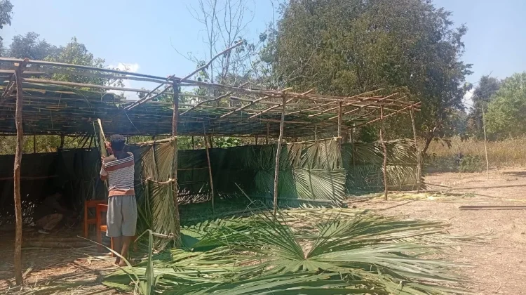 Dari Kayu dan Daun Gebang, Warga Kampung Baru Bangun Sekolah Darurat Pascagempa